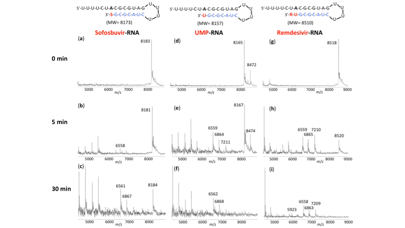 New Research Supports Sofosbuvir In Combination With Other Antivirals For Covid 19 Chemical Engineering