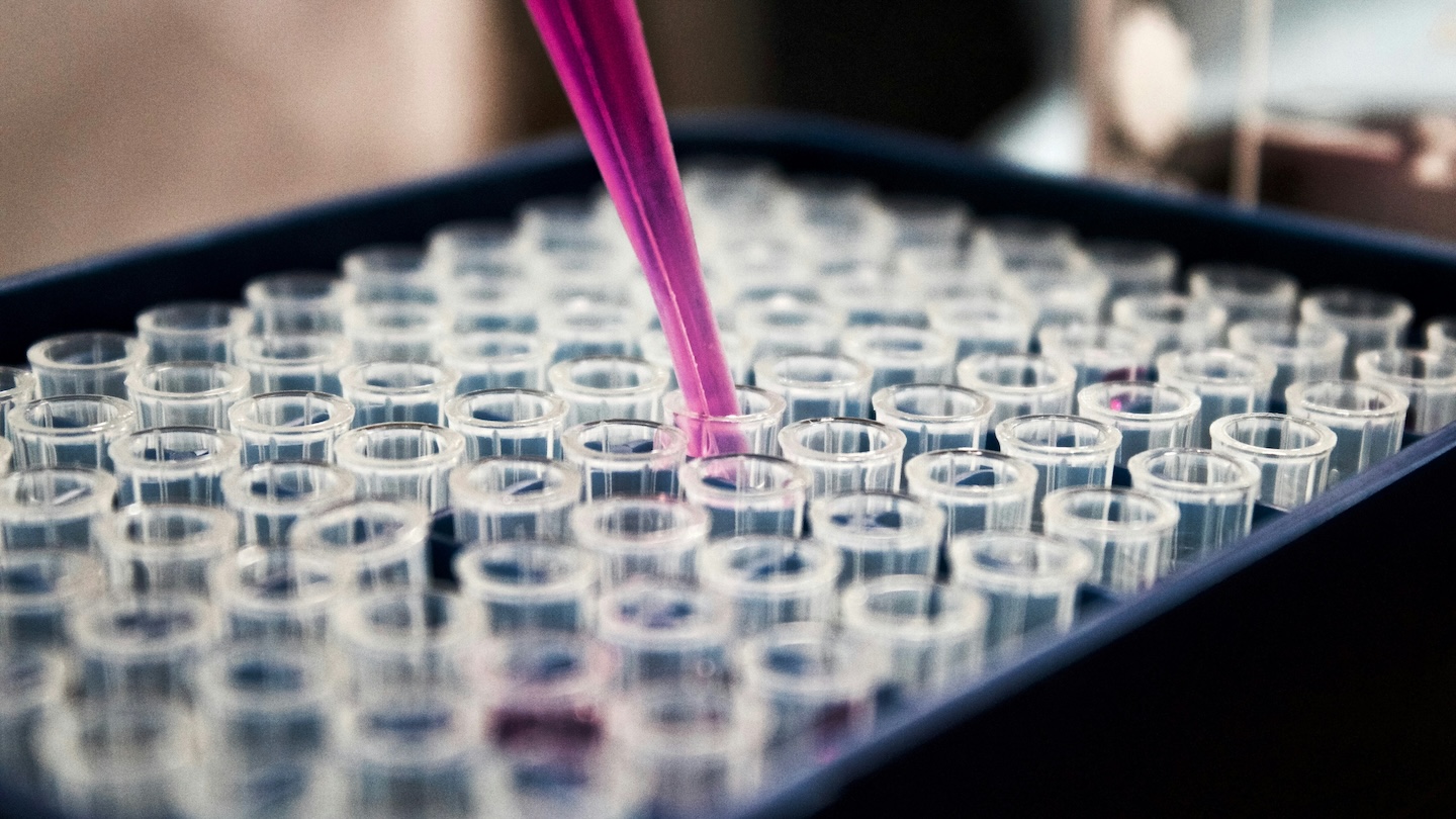 A pipette with magenta liquid dipped into a test tube