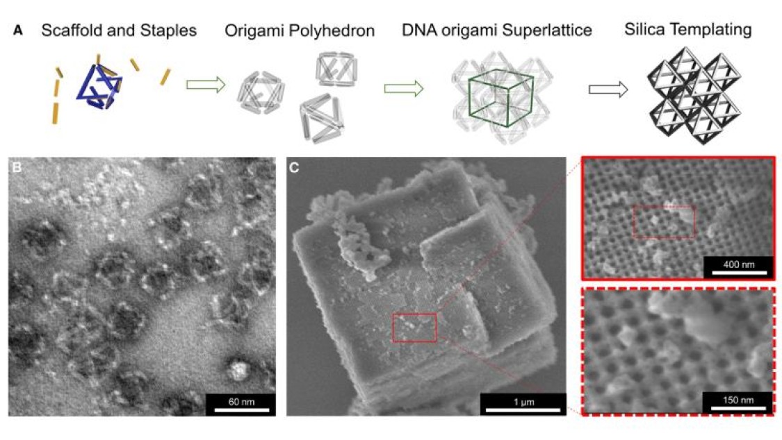 images from the research publication