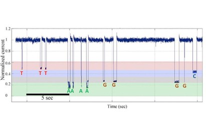 Single-molecule nanopore DNA sequencing by synthesis data from a template with homopolymer sequences. Image courtesy of Jingyue Ju.